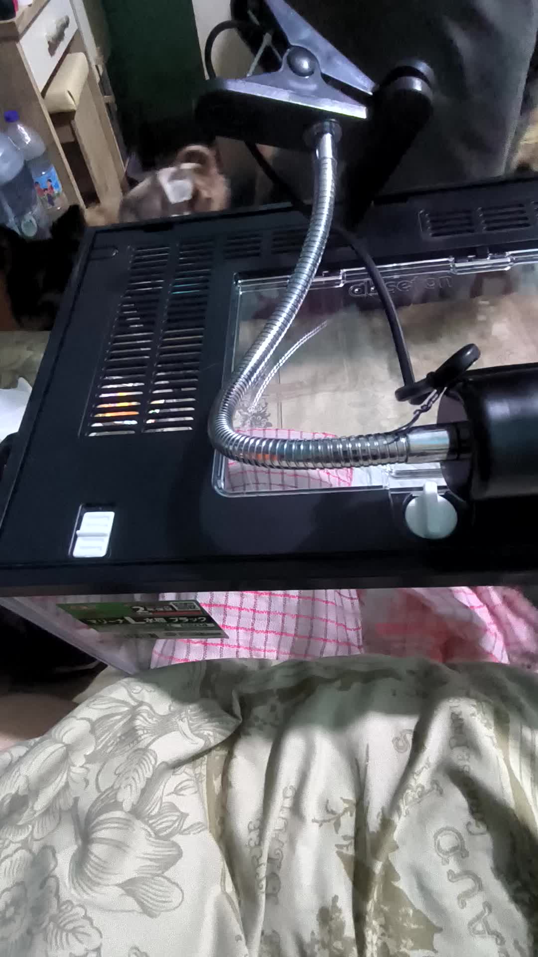 review image 10