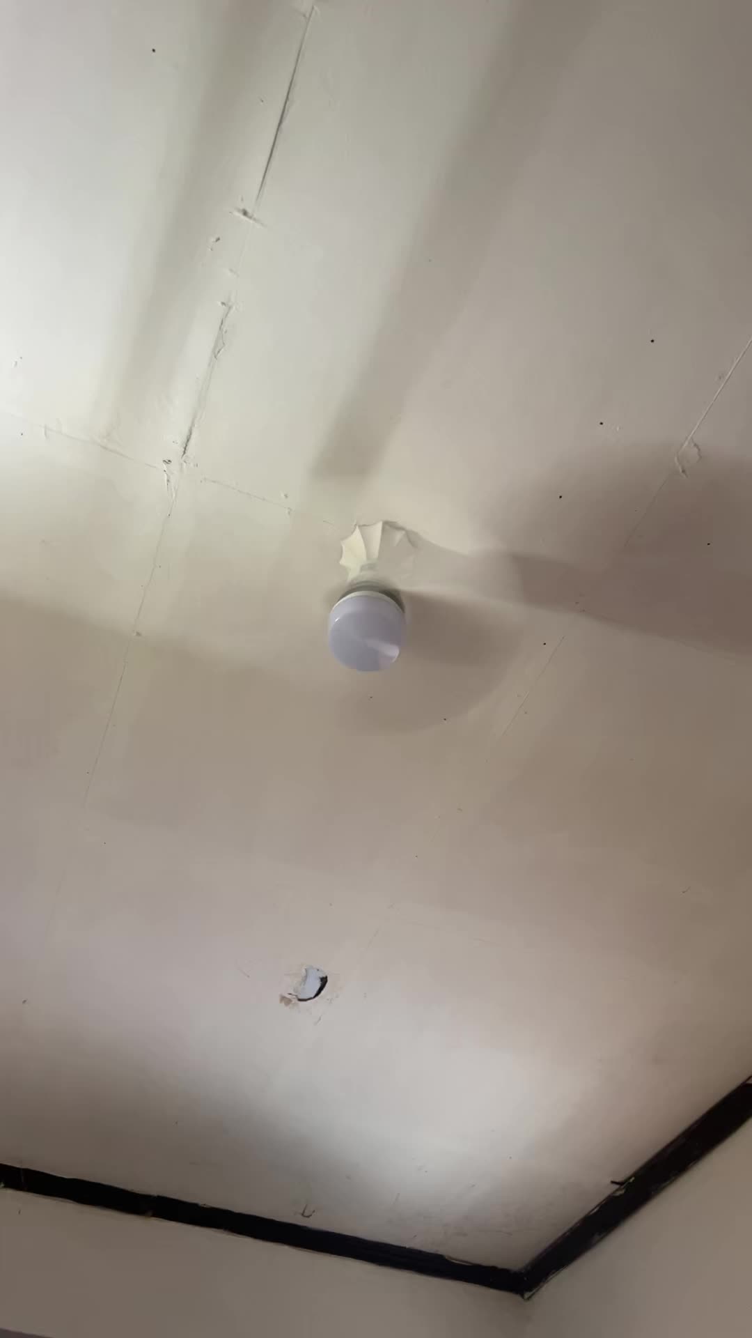 review image 5