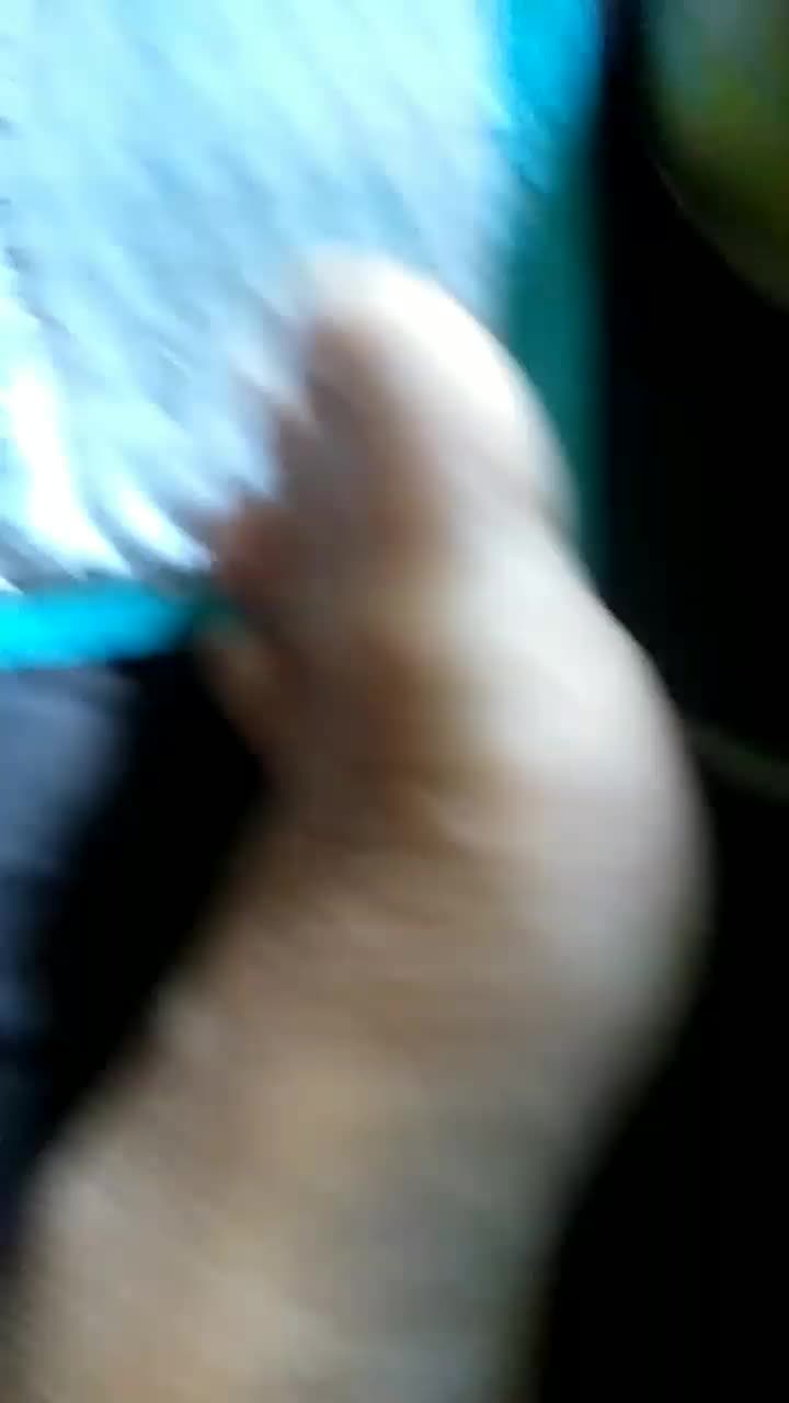 review image 5