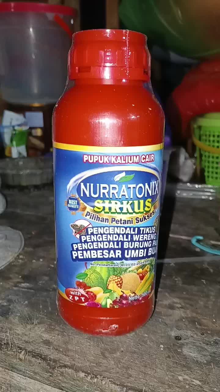 review image 2