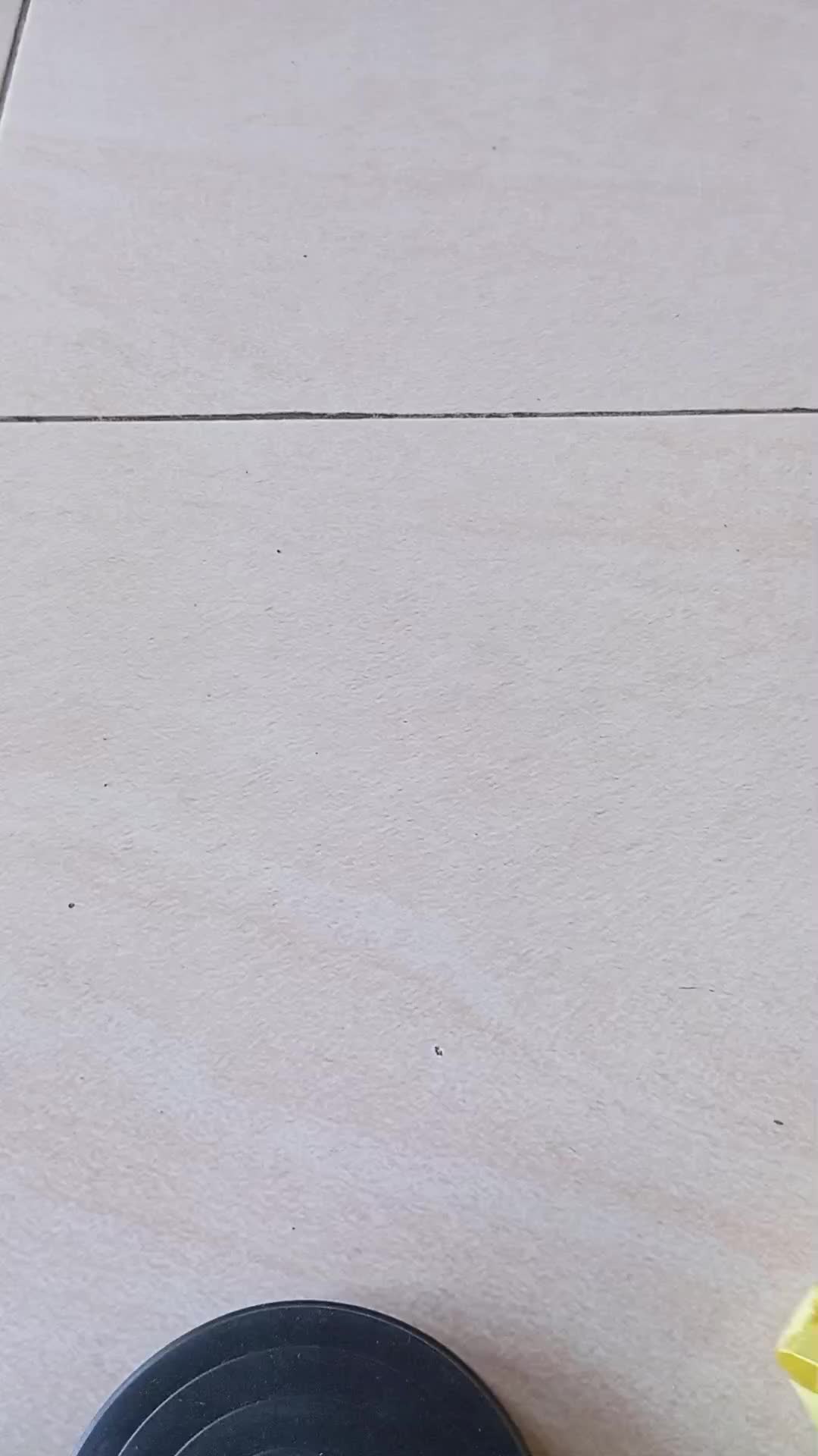 review image 12