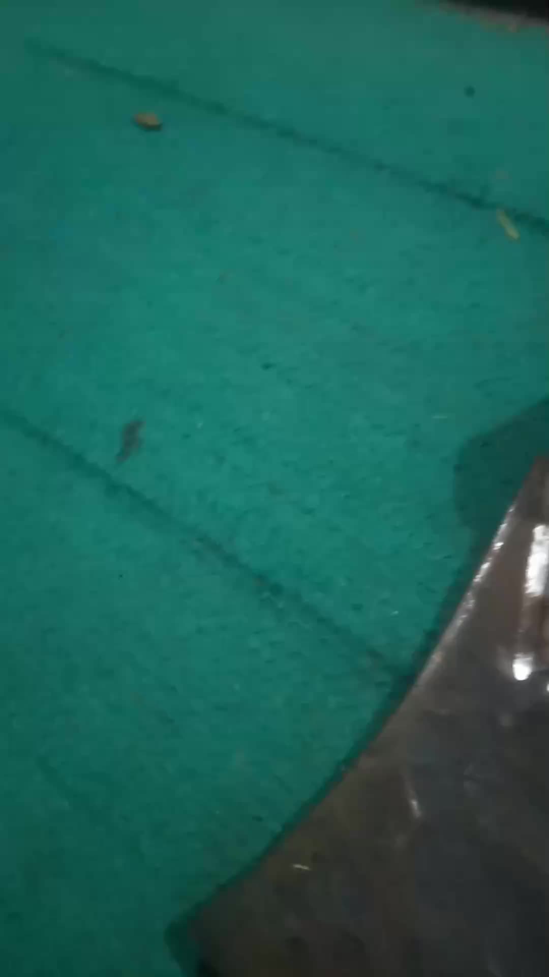 review image 6