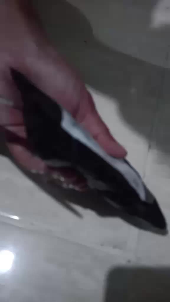 review image 4