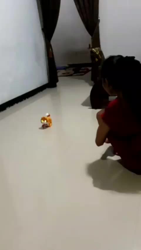 review image 6