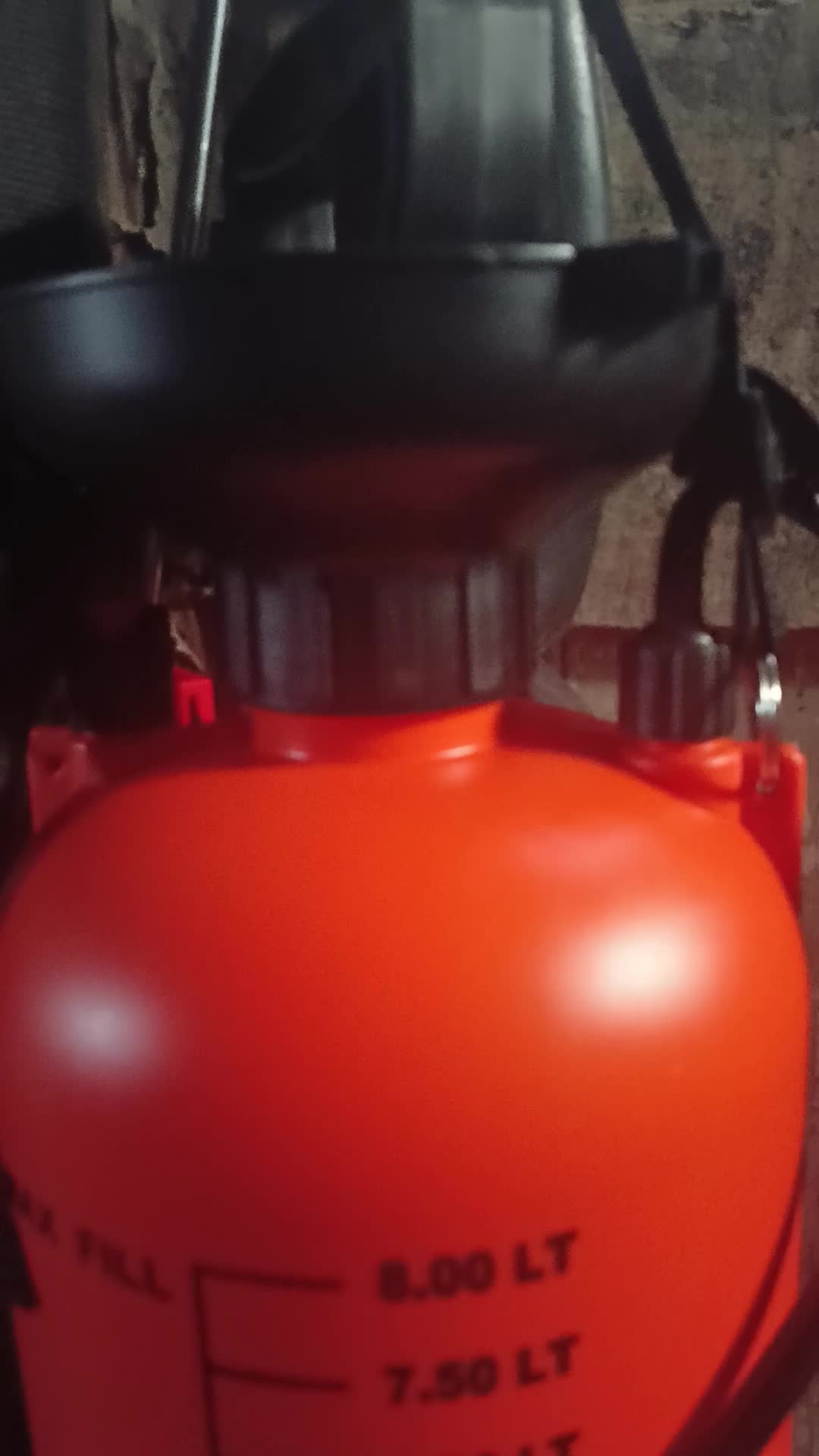 review image 8