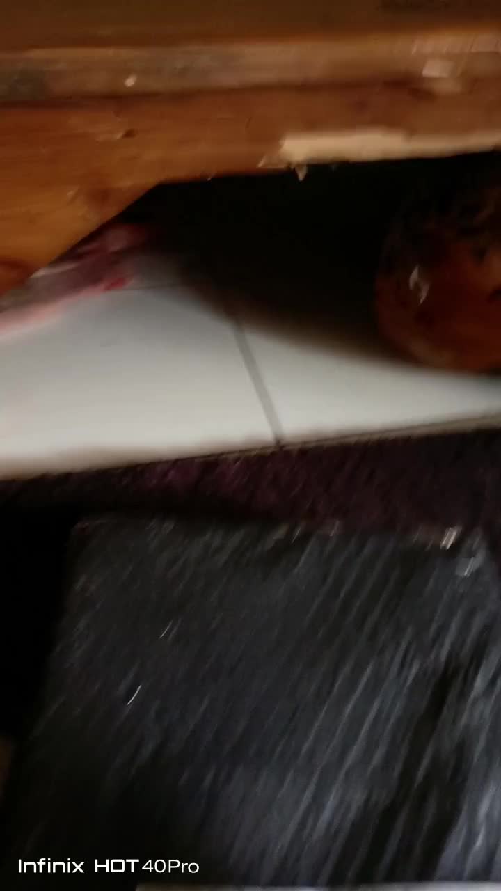 review image 2