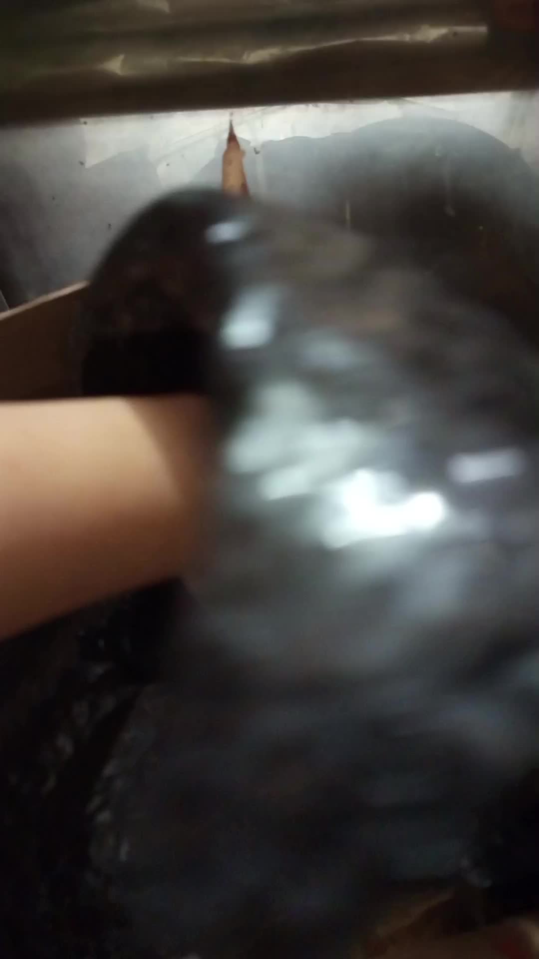 review image 10