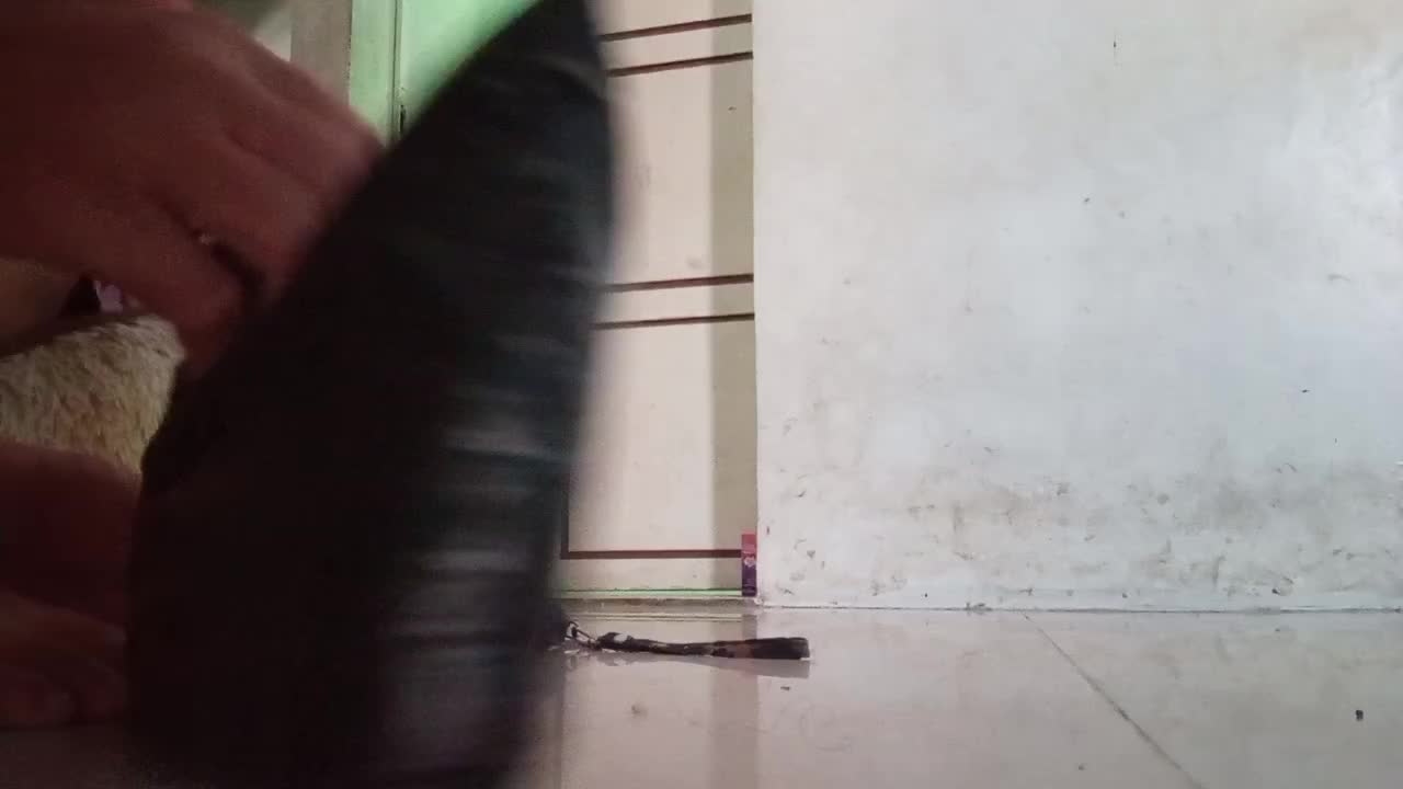 review image 2