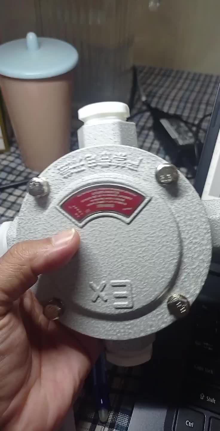 review image 5