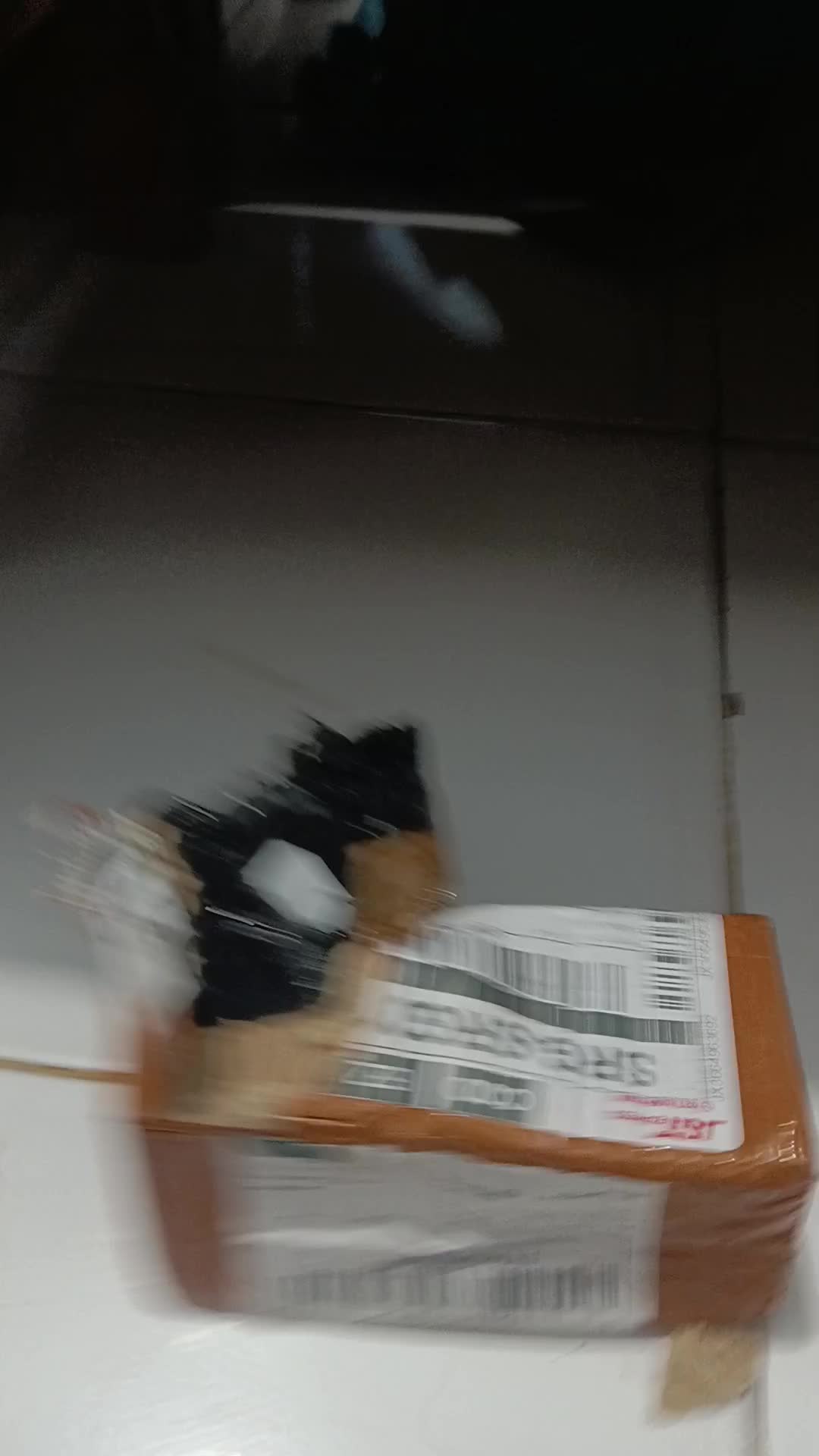 review image 3