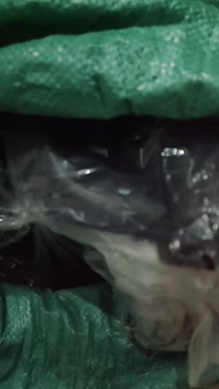review image 6