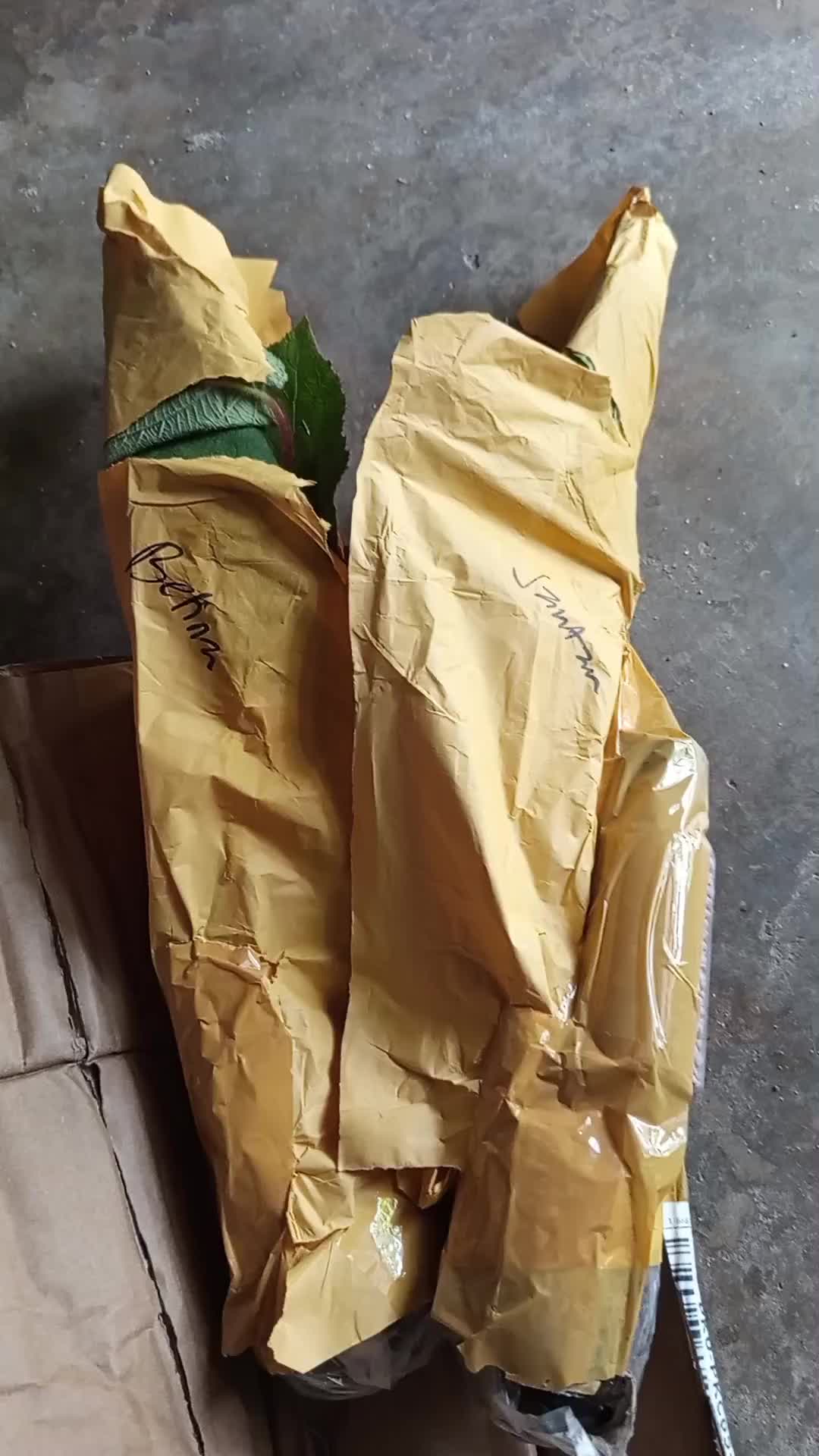 review image 6