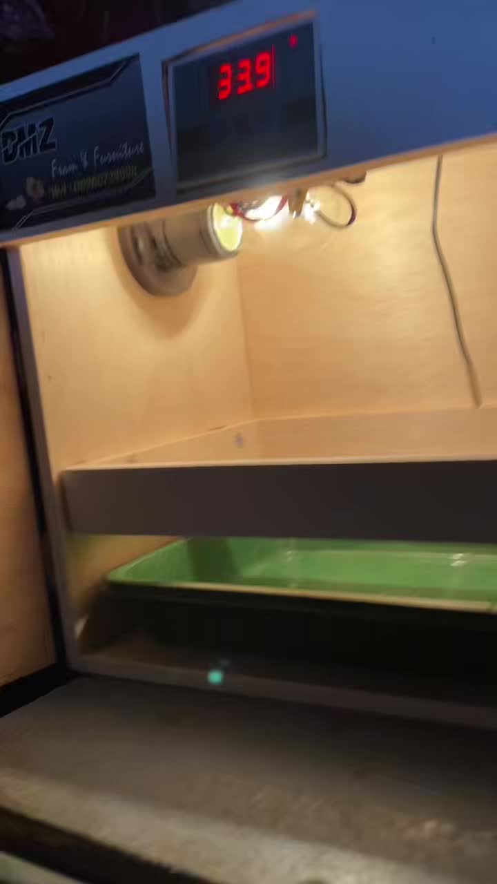 review image 2