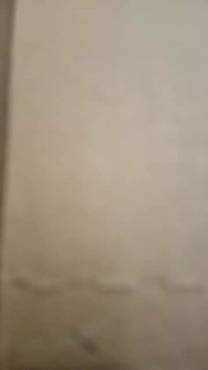 review image 6