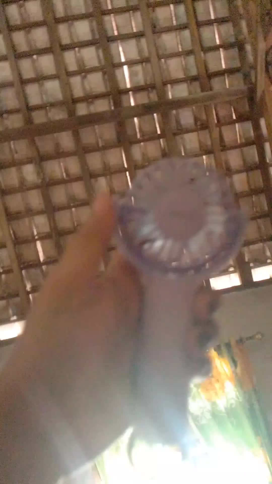 review image 6