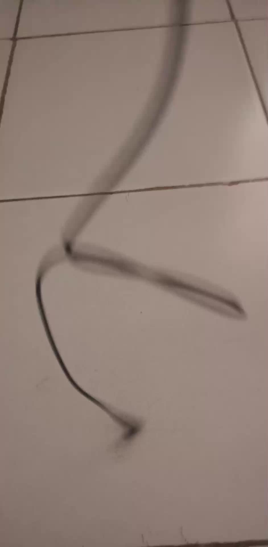 review image 10