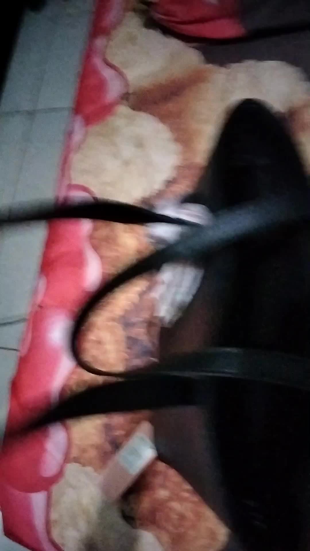 review image 8