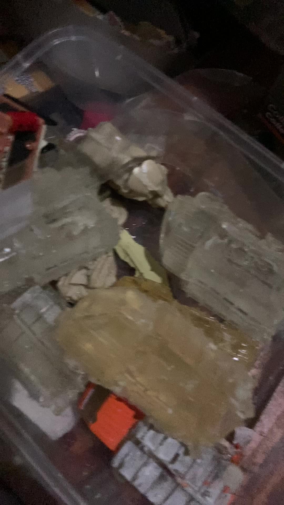 review image 6