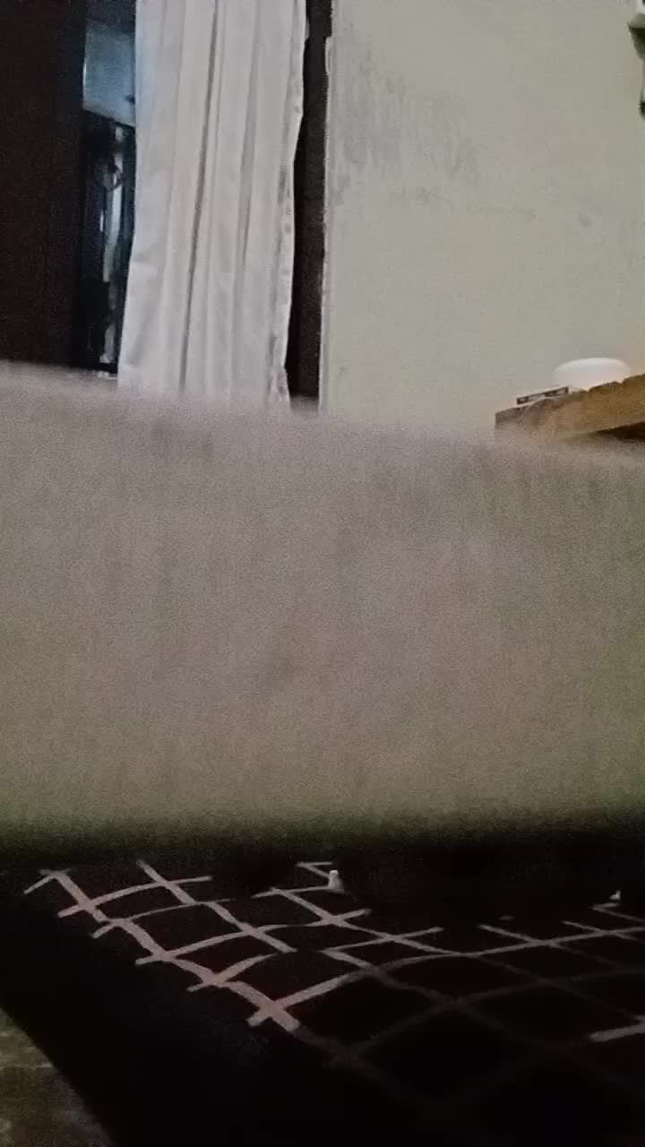 review image 5