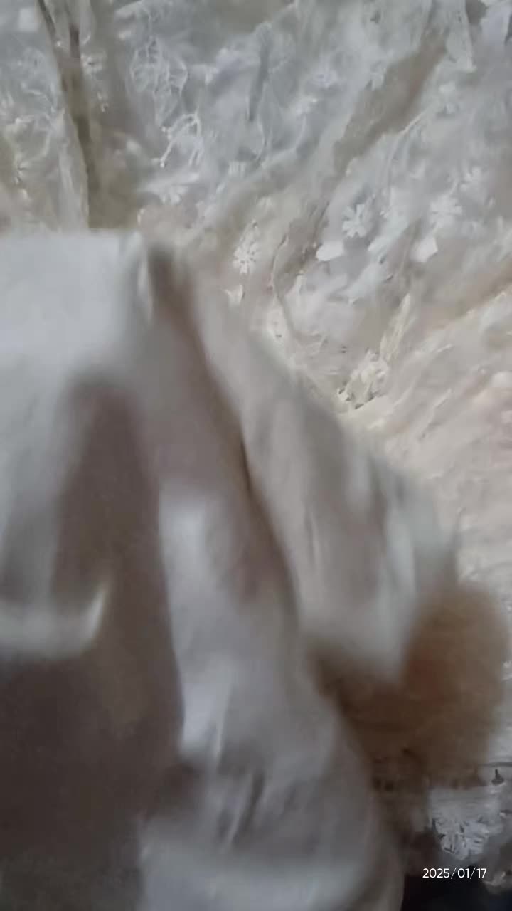 review image 5
