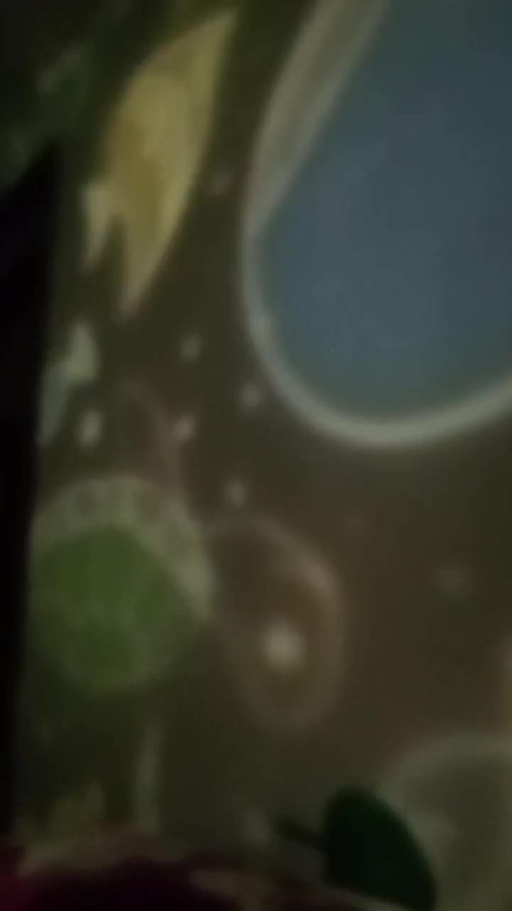review image 7