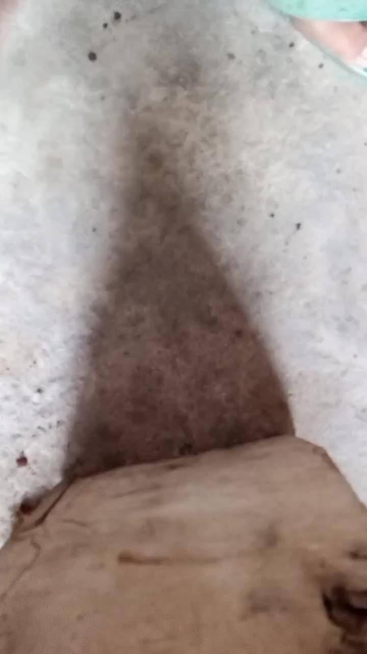 review image 4