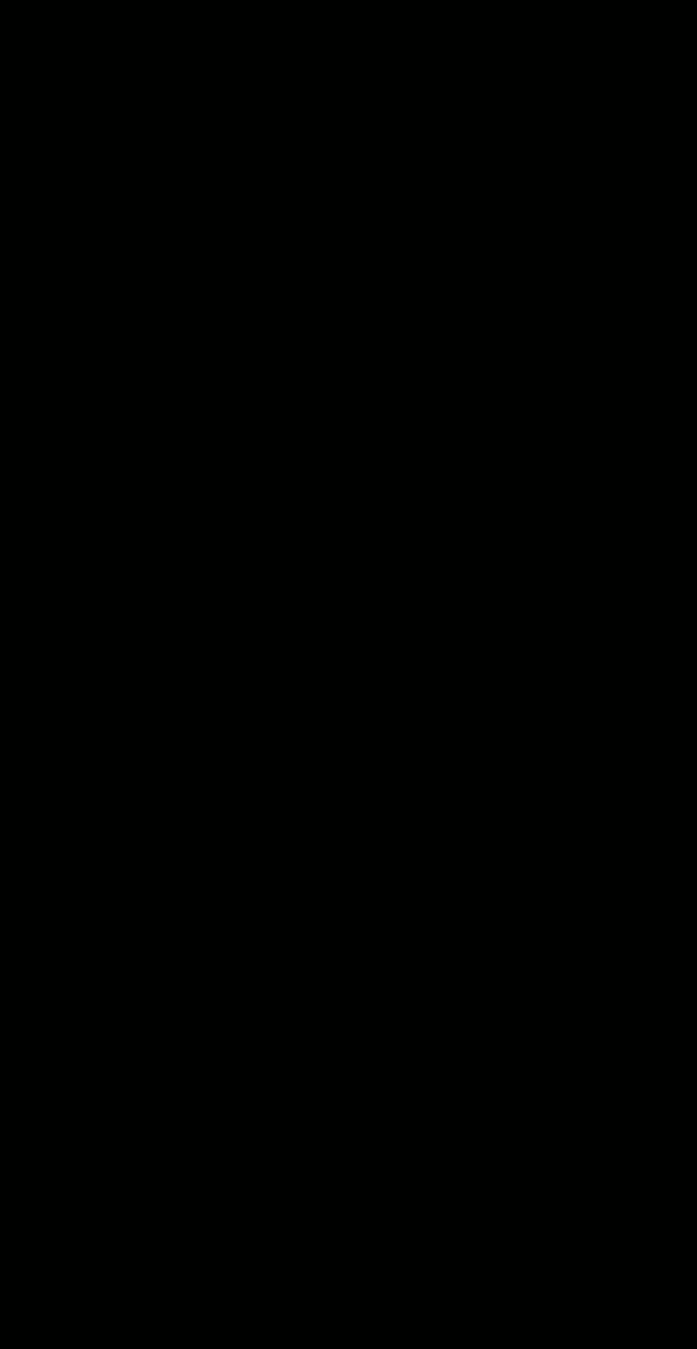 review image 13
