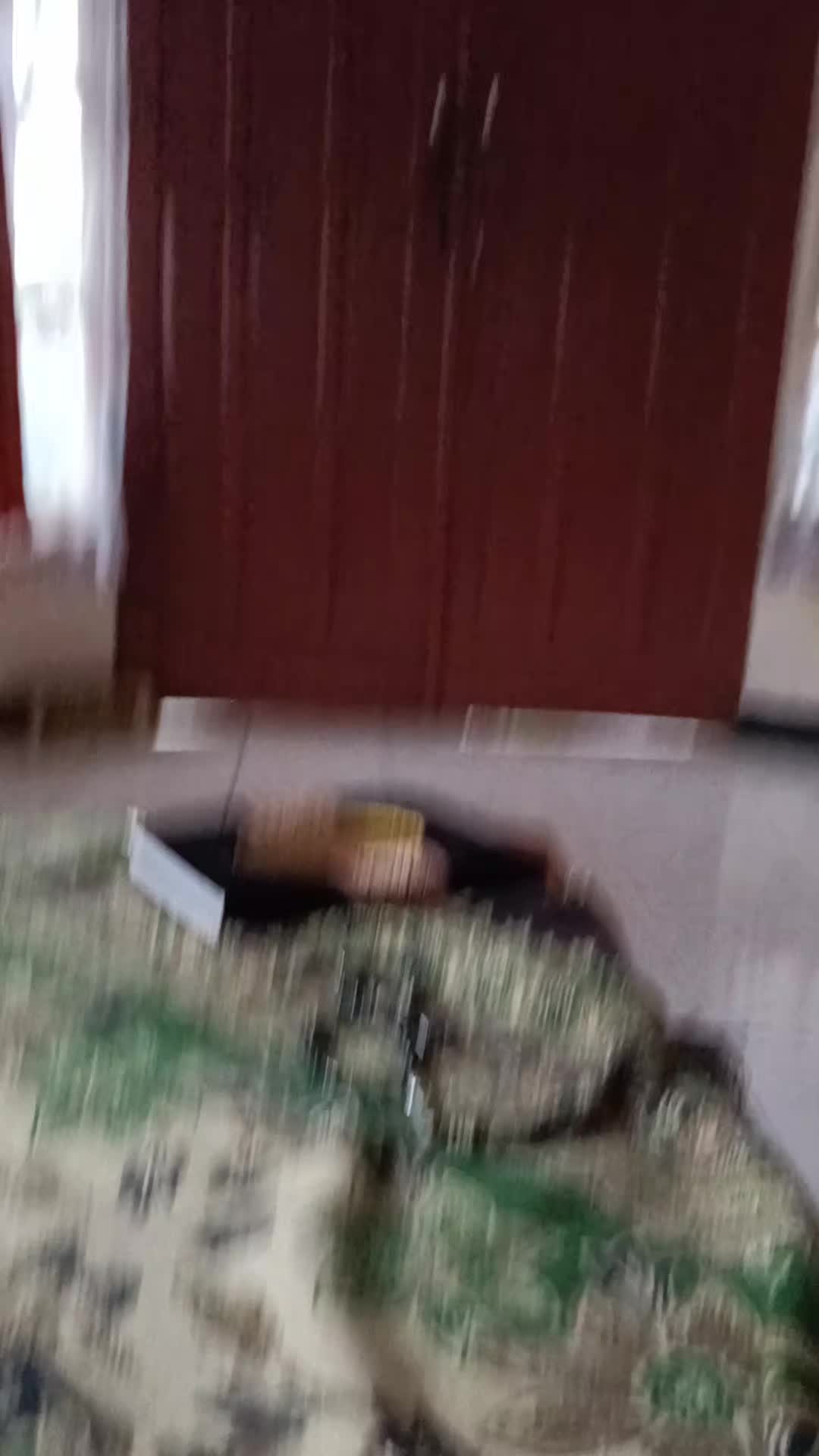 review image 7