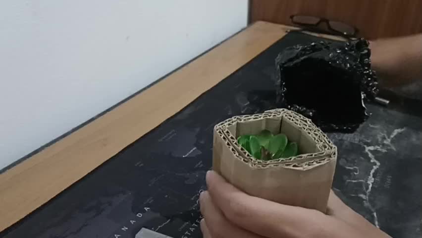 review image 10