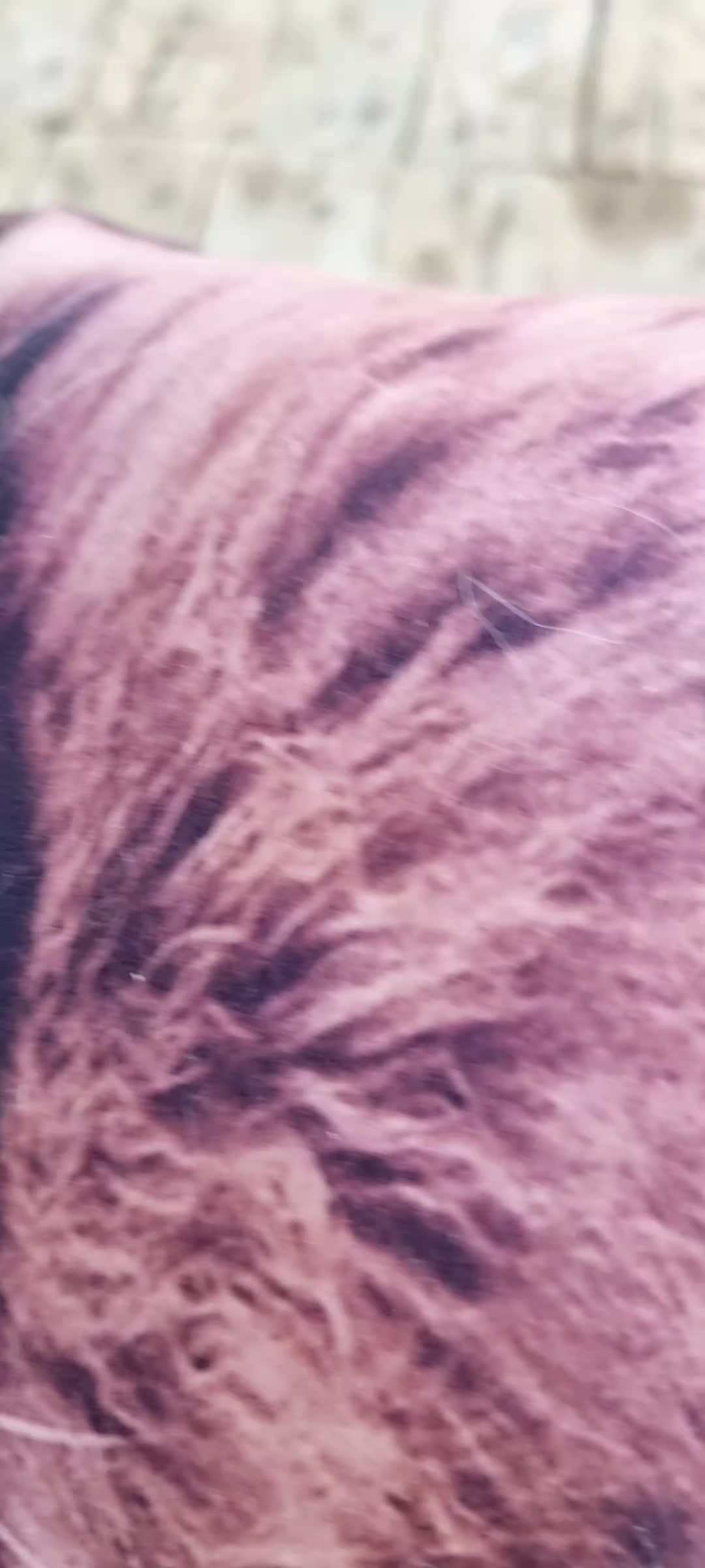 review image 3