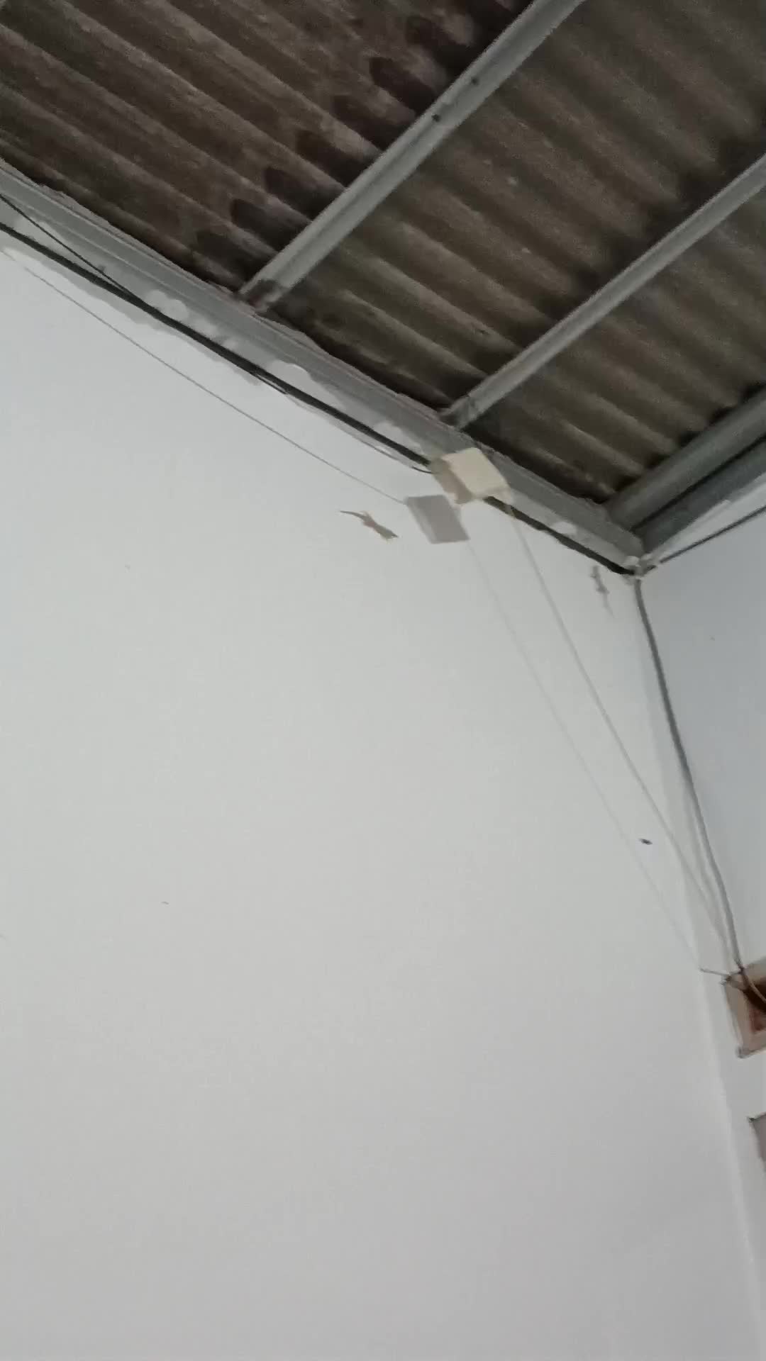 review image 6