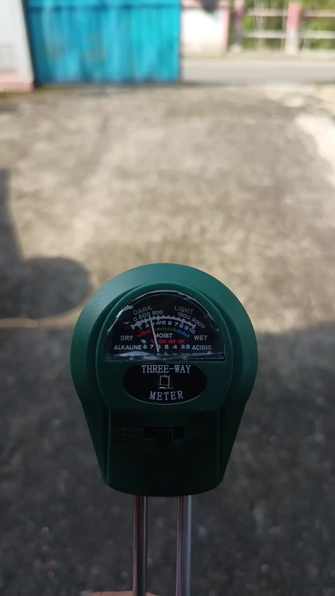 review image 10