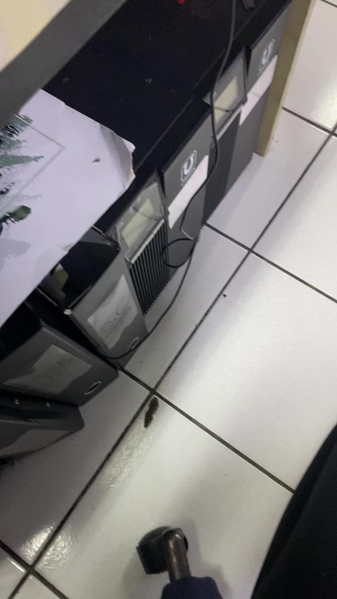 review image 6