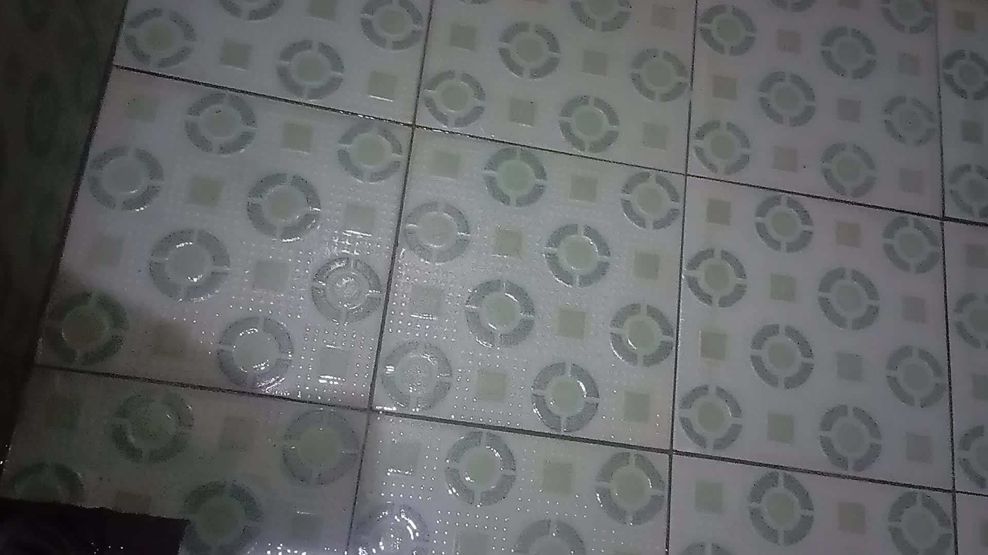 review image 10