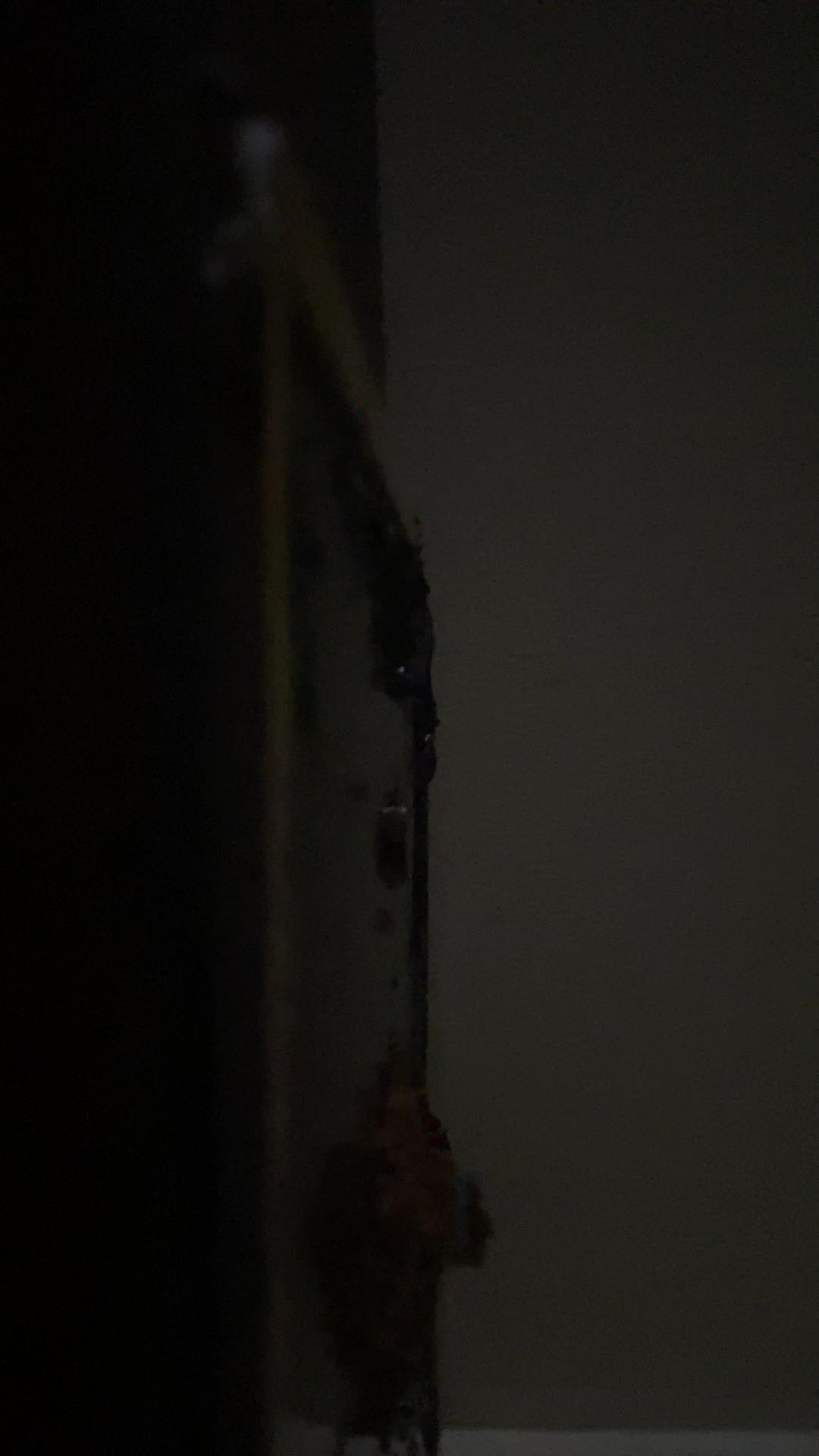 review image 10