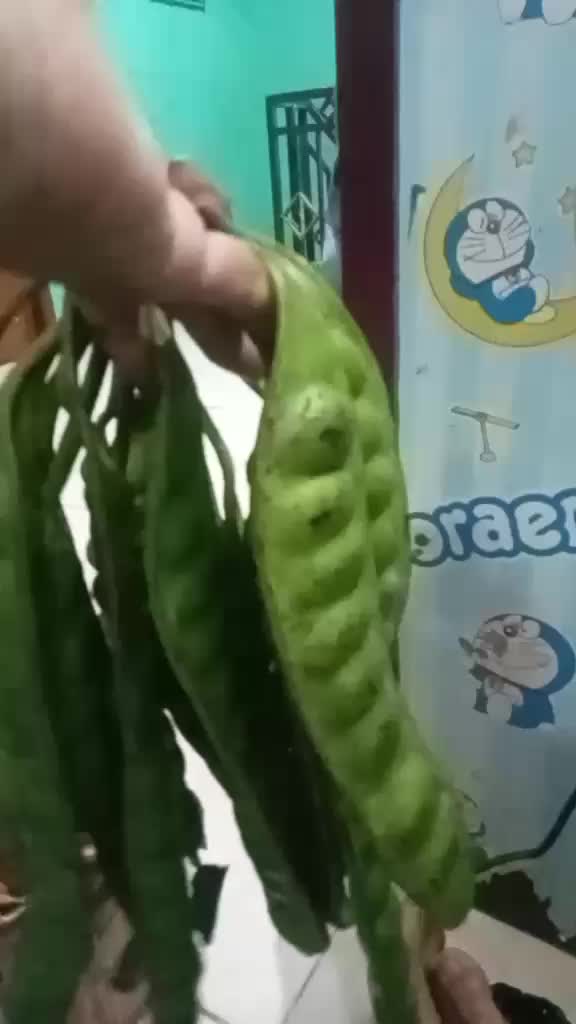 review image 0