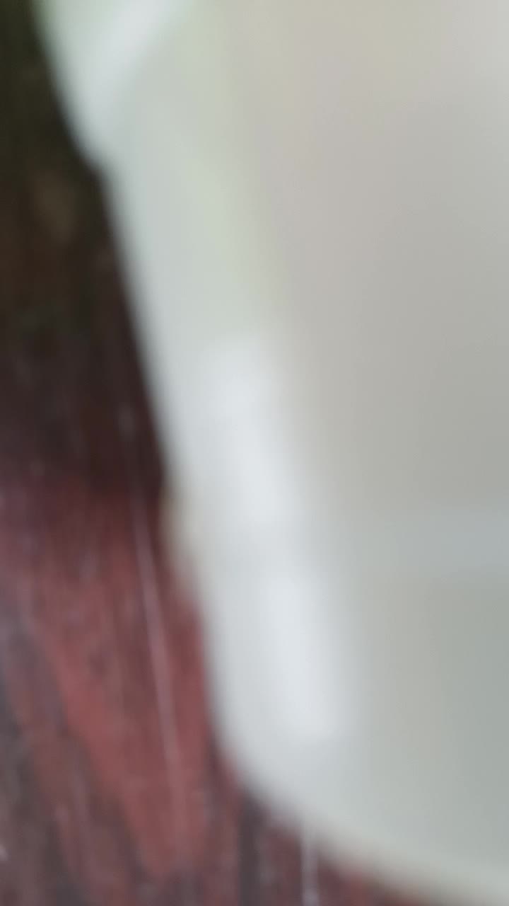 review image 10