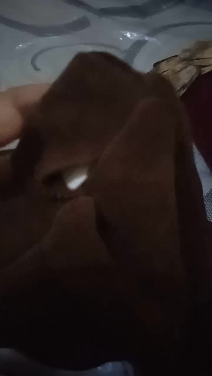 review image 9