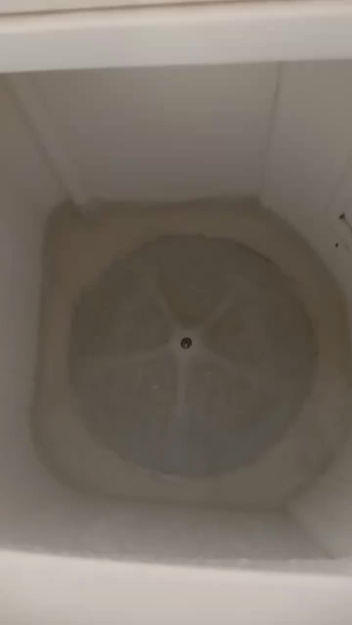 review image 3
