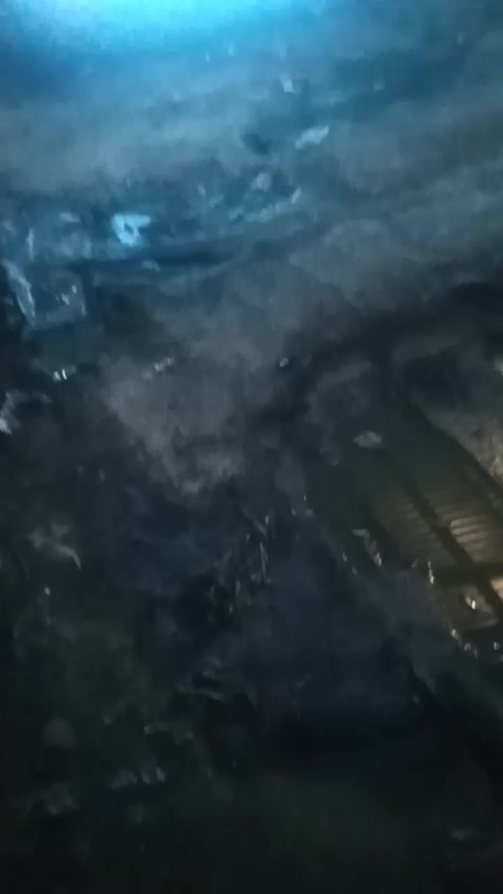 review image 5