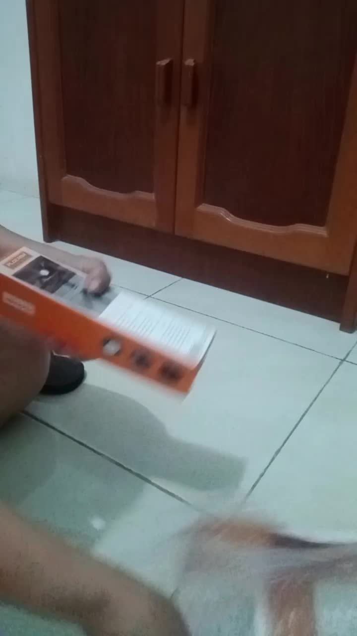 review image 5