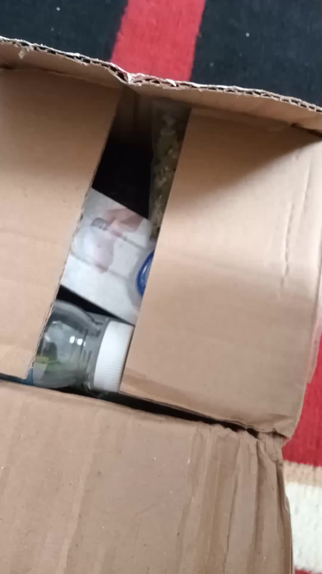 review image 9