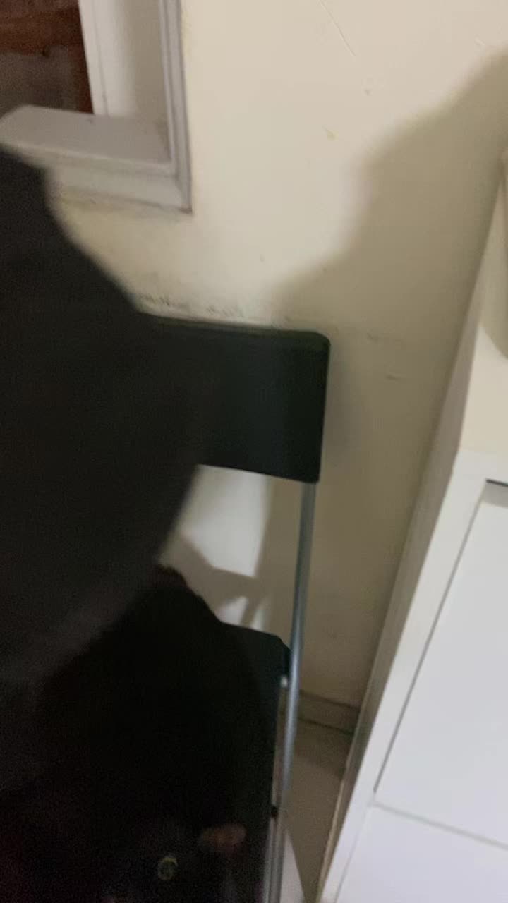 review image 10