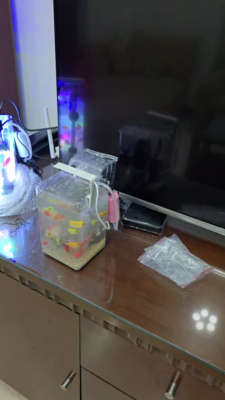 review image 9
