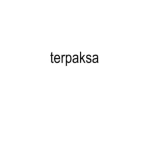 review image 3