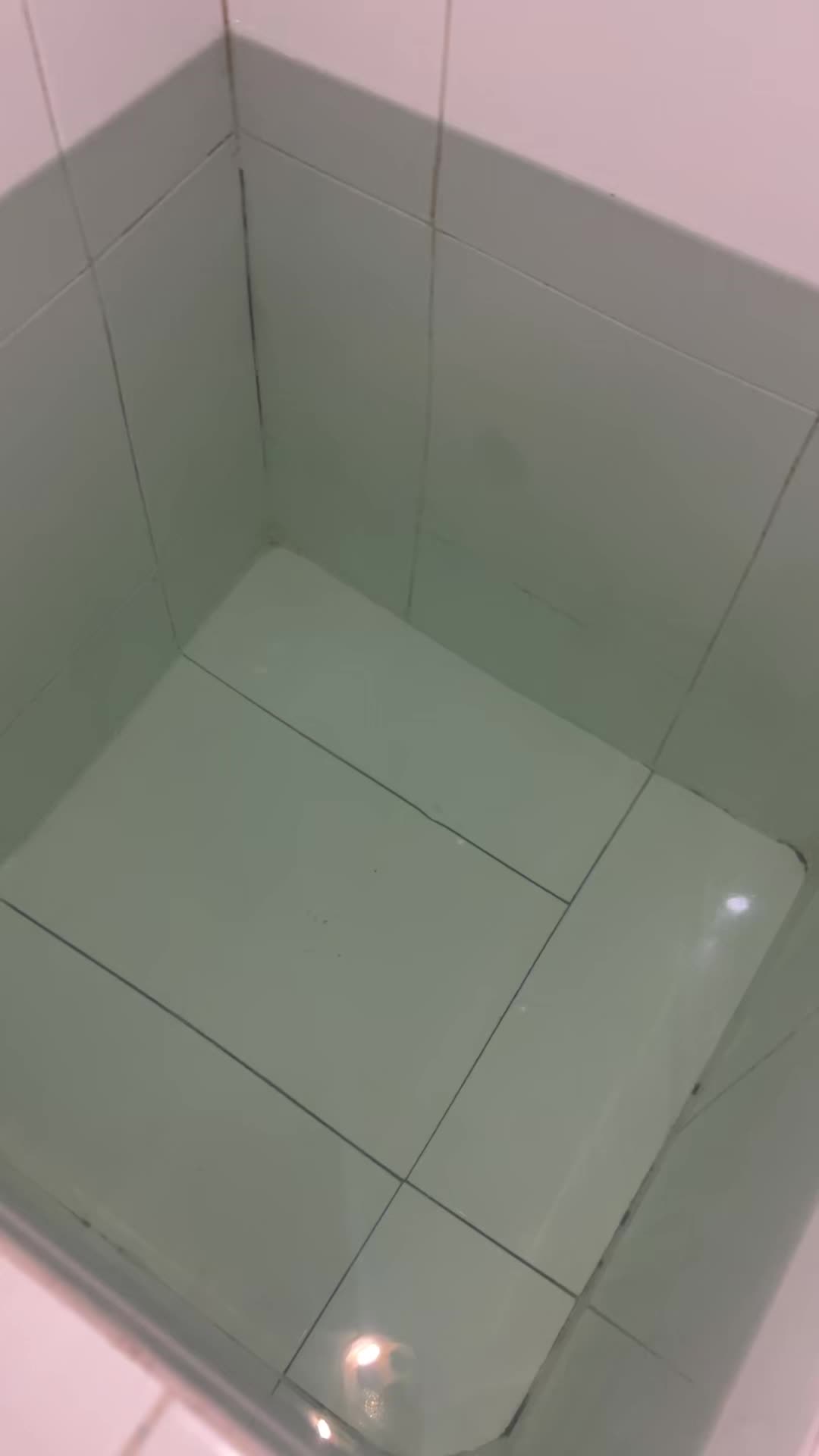 review image 3