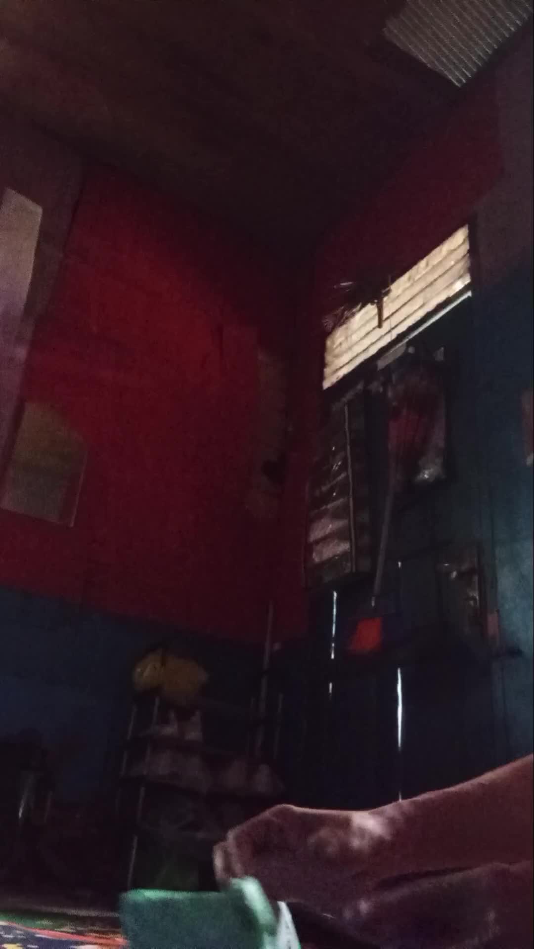 review image 10