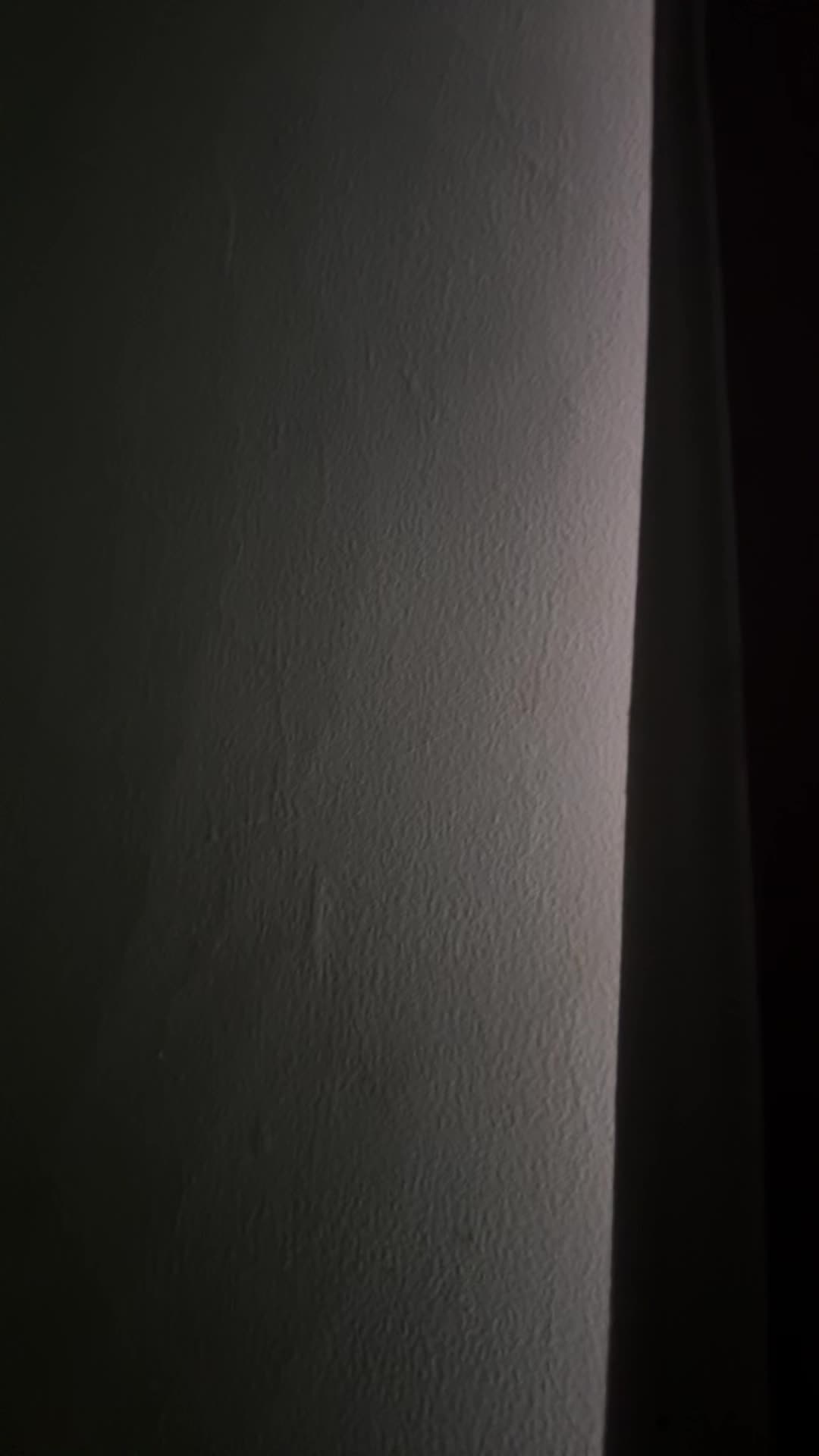 review image 3