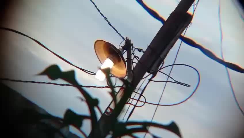 review image 12