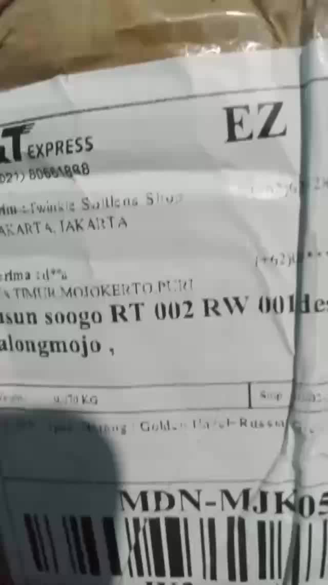 review image 11
